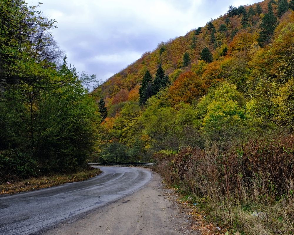 Фотография автора Dmitry