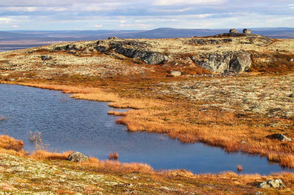 Photograph by Светлана Лебедева