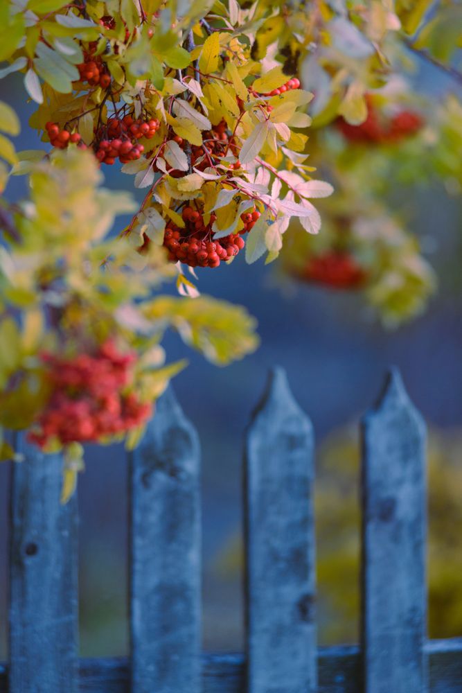 Photograph by Константин Зоткин