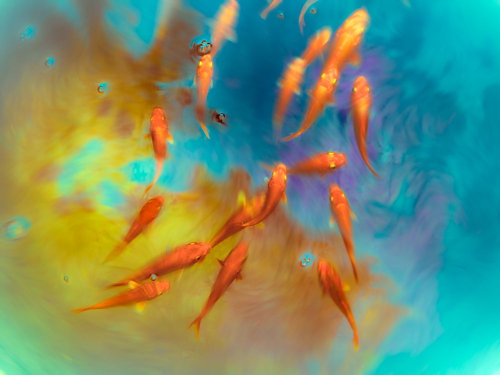 Photograph by  Poorya Rafiezade