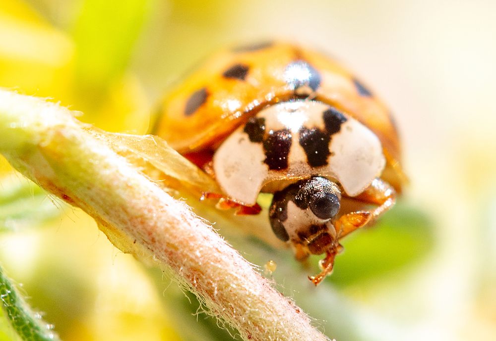 Photograph by Анна Малютина