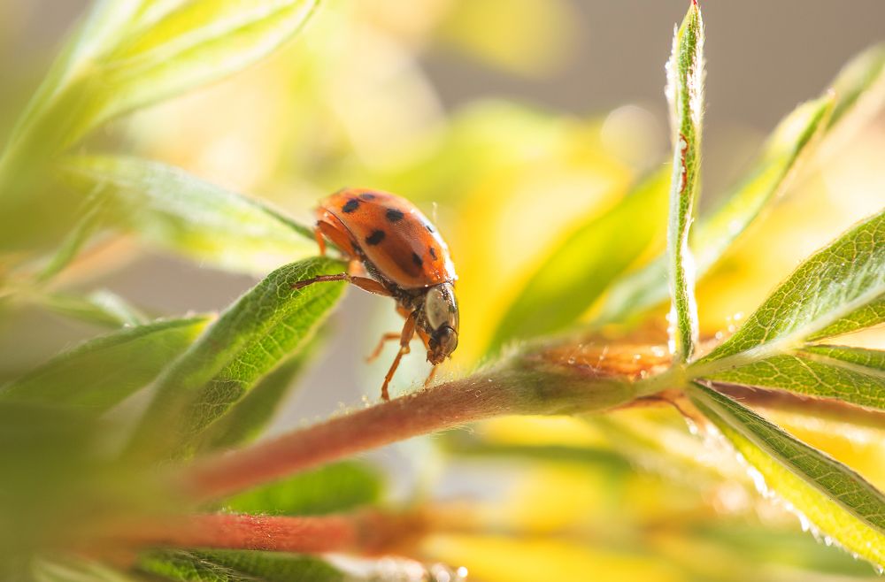 Photograph by Анна Малютина