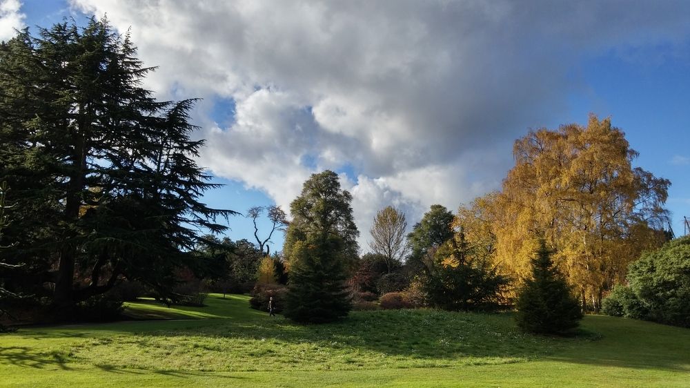 Photograph by Раиса Ламли