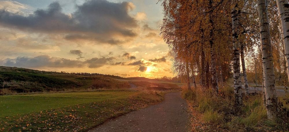 Photograph by Epp Tappel