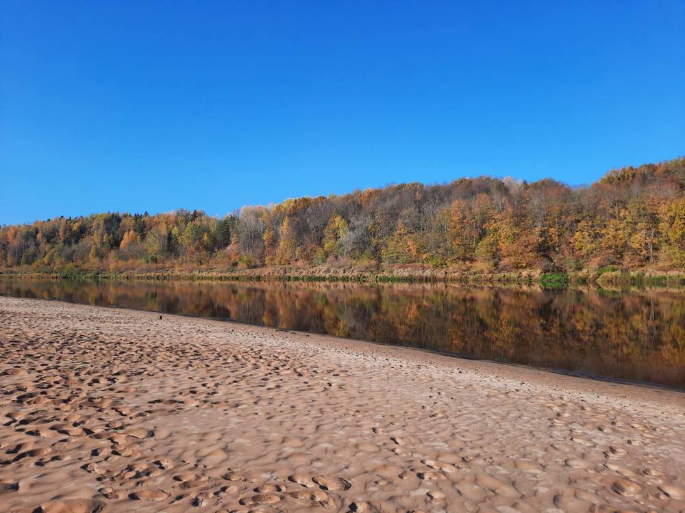Отражение осеннего леса в реке