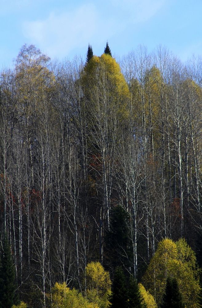 Photograph by Шайдулин Рашид