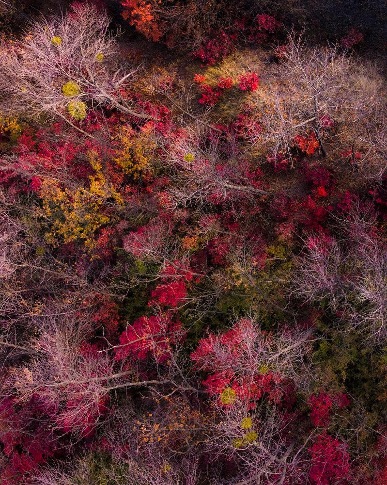 Photograph by Давид Галкин