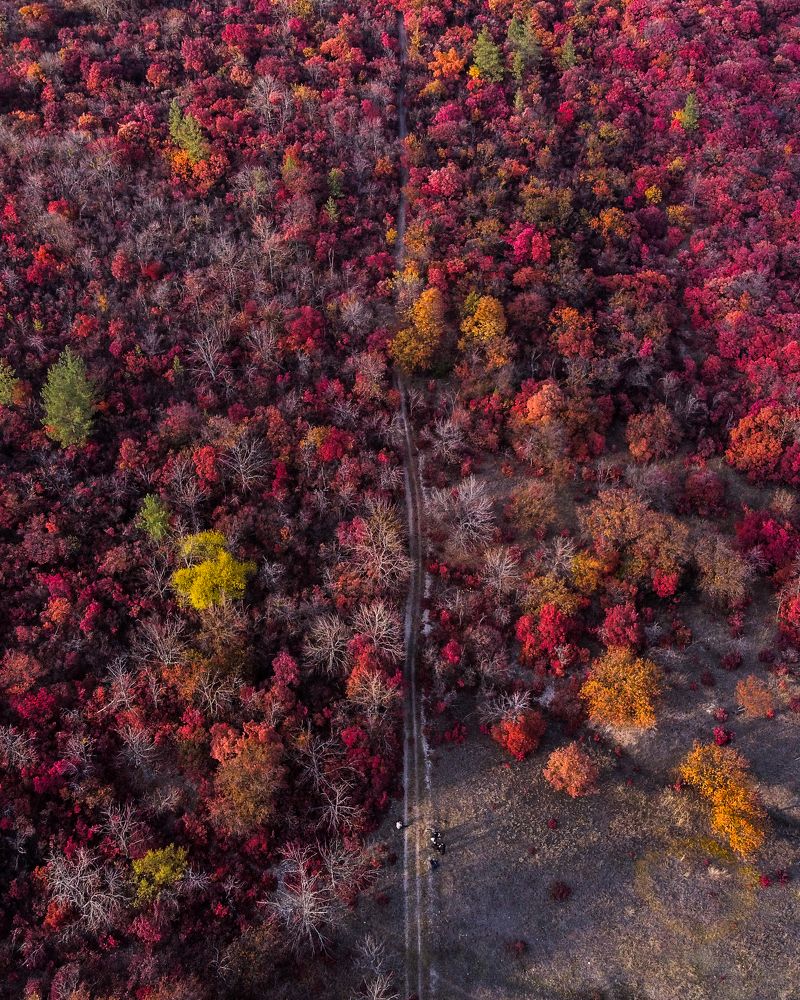 Photograph by Давид Галкин