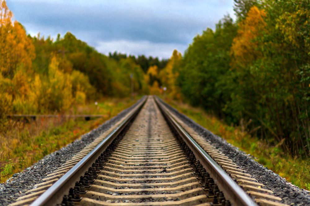 Дорога в осень.