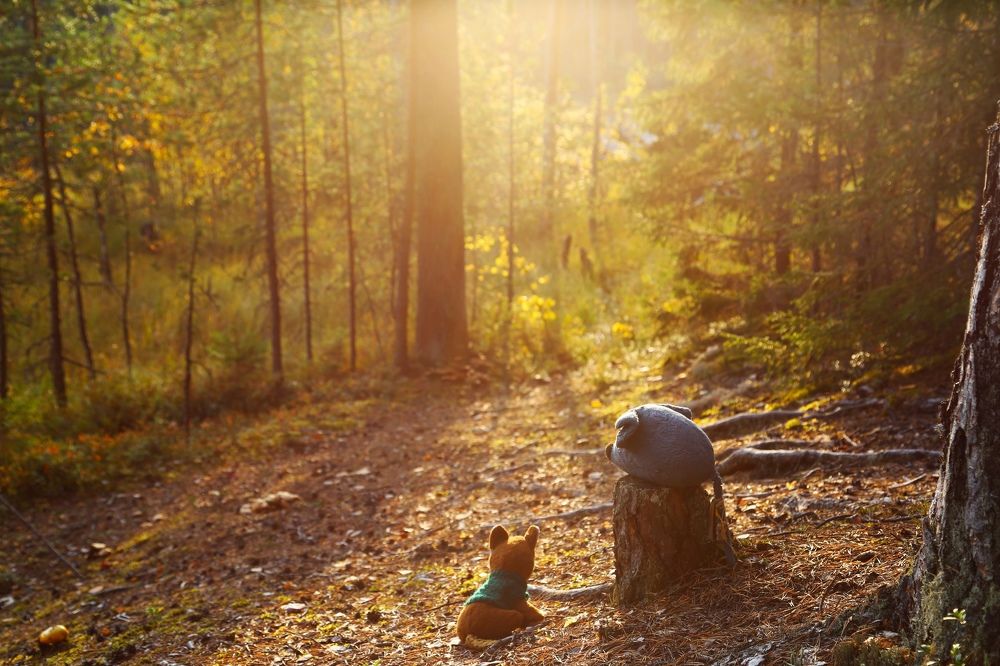 Photograph by Юлия