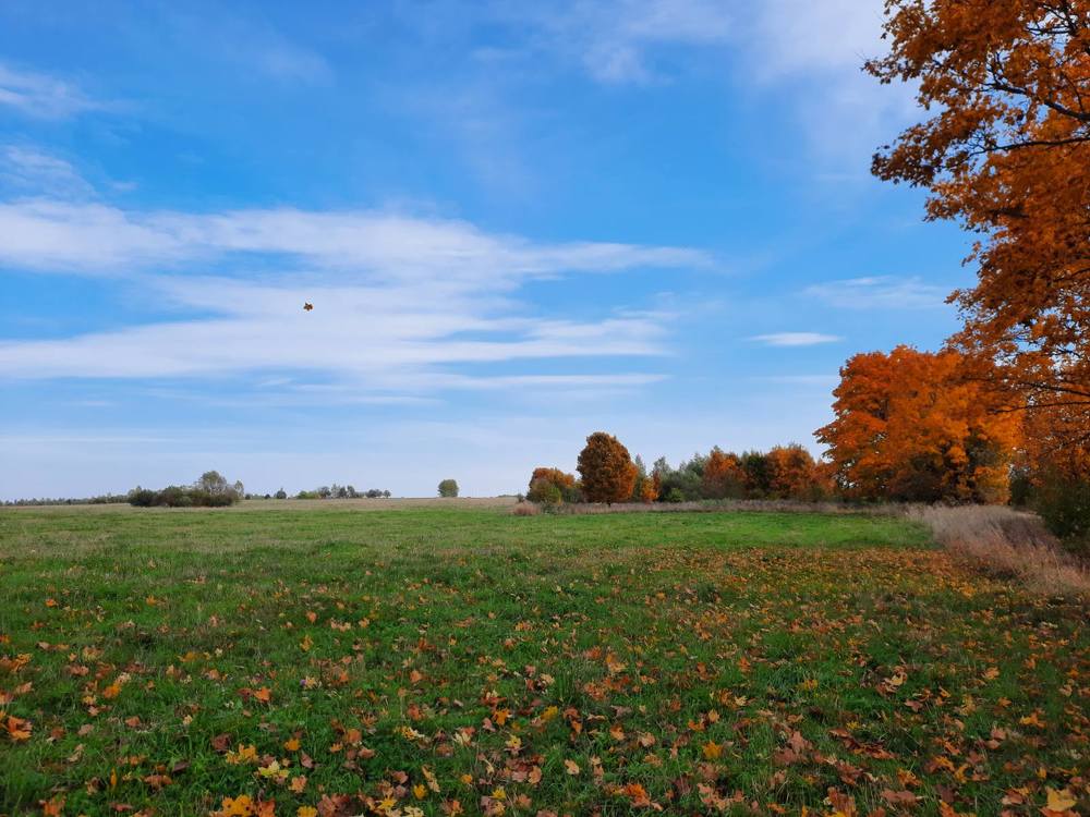 Осенняя безмятежность