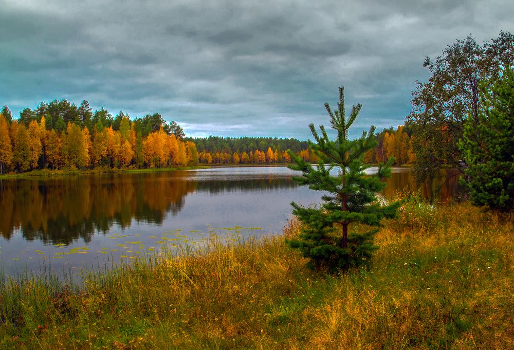 Осенний пейзаж.