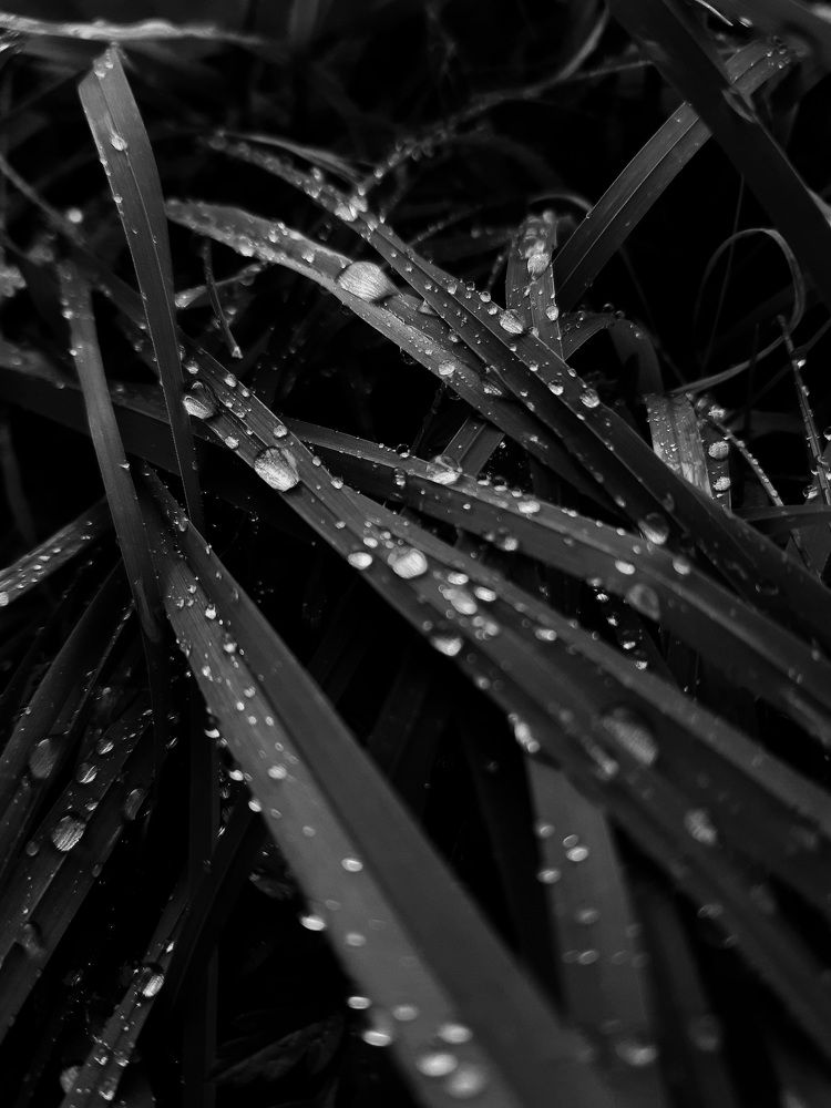 Photograph by Мария Юруть