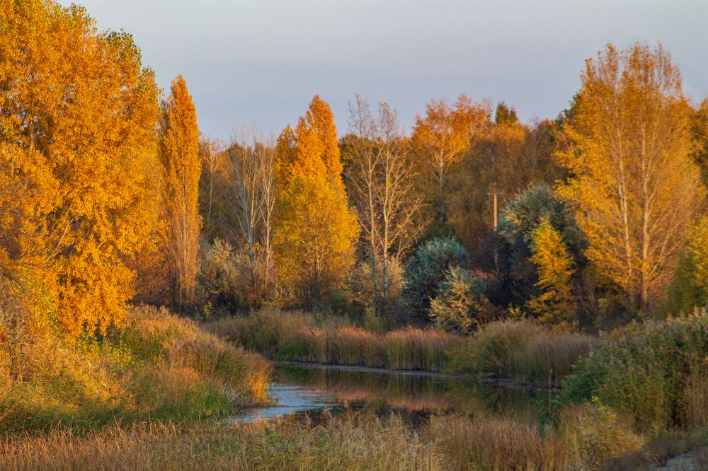 Photograph by Владислав Кулиш
