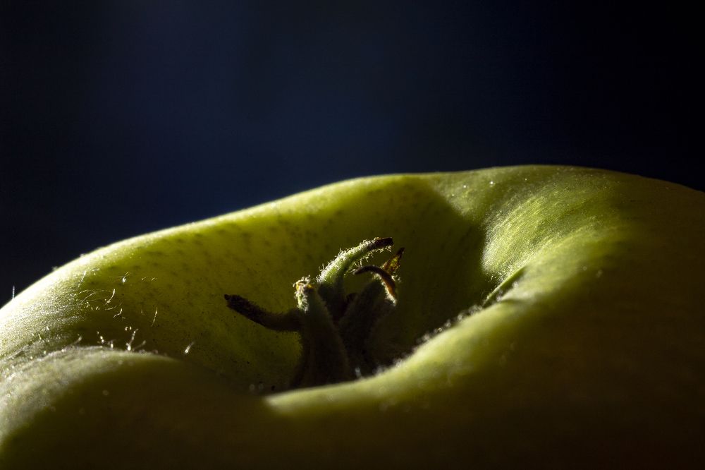 Photograph by Николай Ефимов