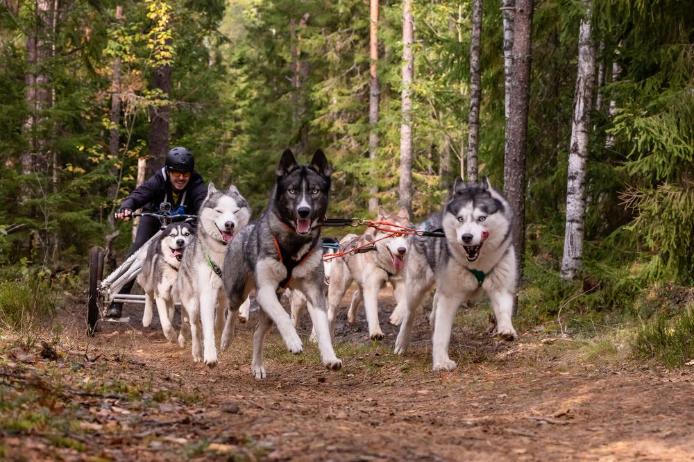 Photograph by Илья Юфа