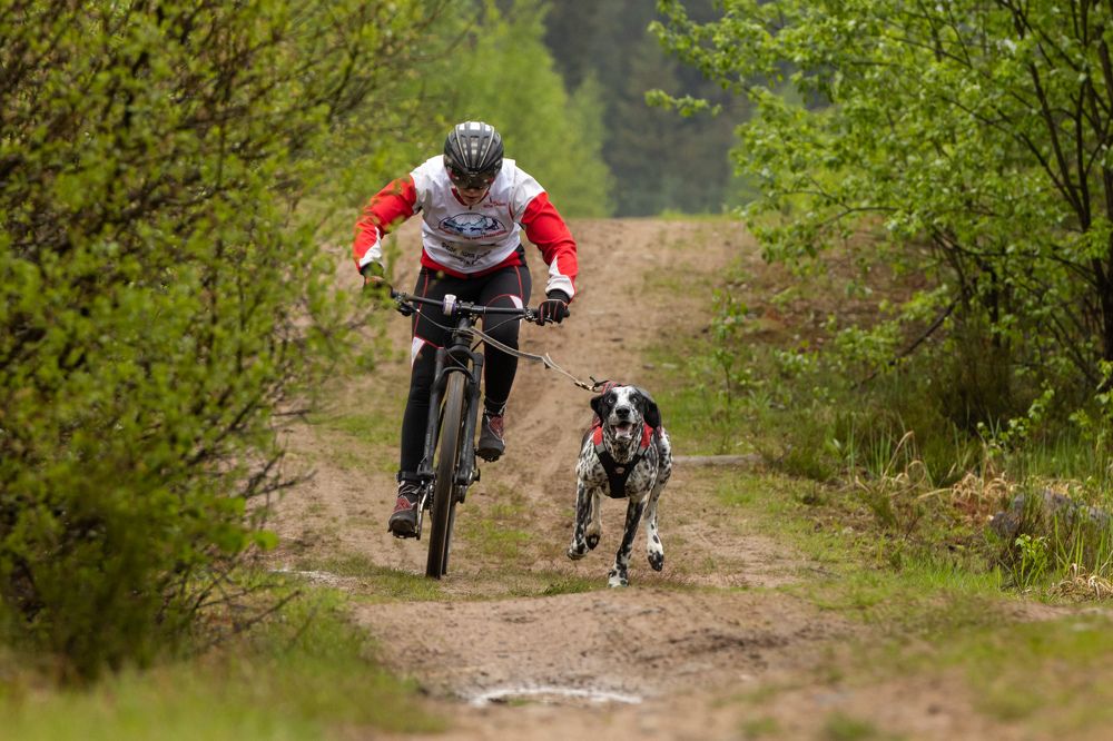 Photograph by Илья Юфа