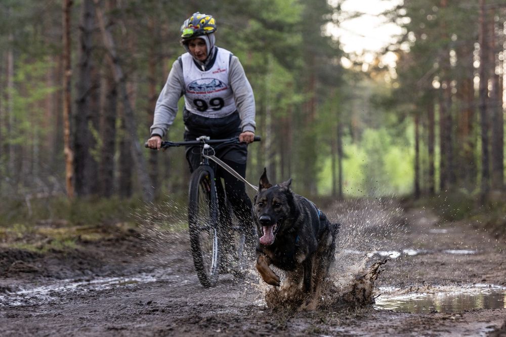 Photograph by Илья Юфа