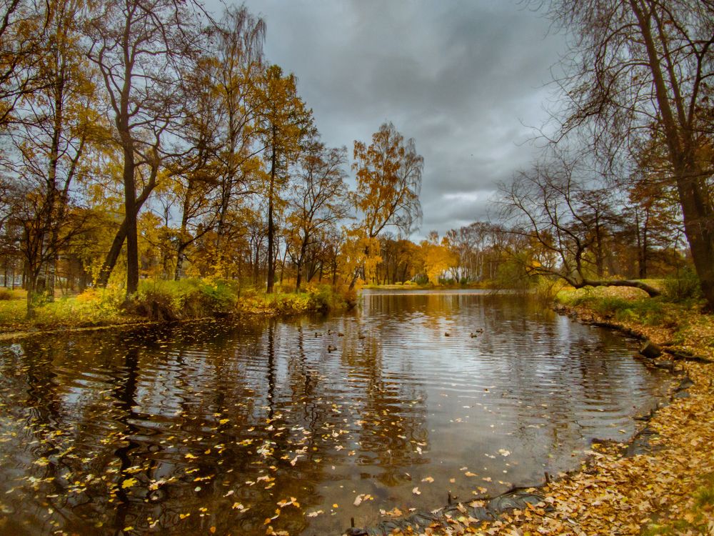 Photograph by Chic.chiquitita