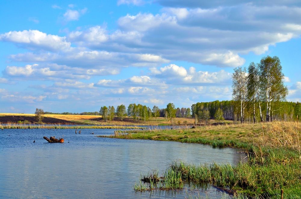 Photograph by Владимир Рандин