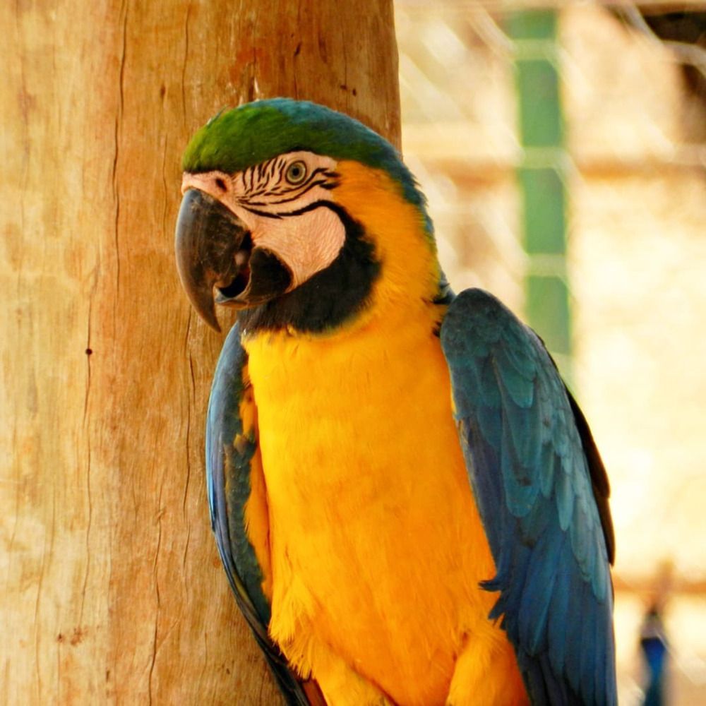 Photograph by Aryel Evelin Vieira Garcia