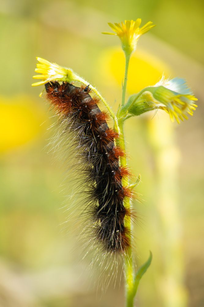 Photograph by Анастасия Глазюк