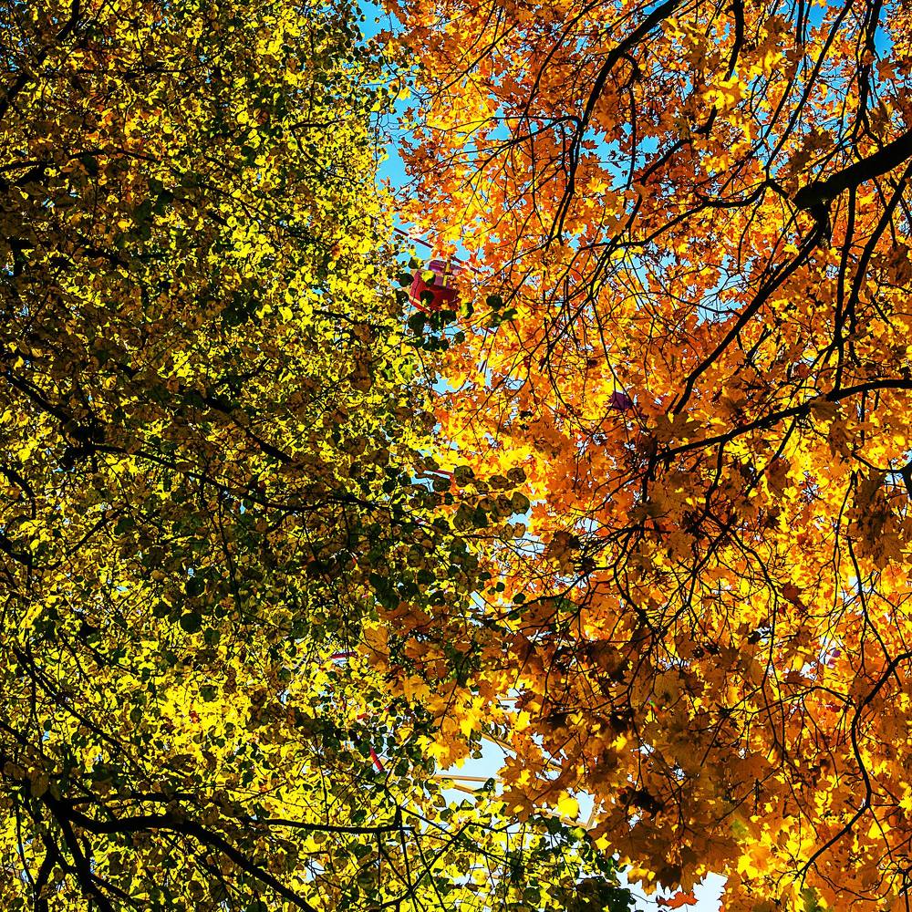 Фотография автора Валерий Невмержицкий
