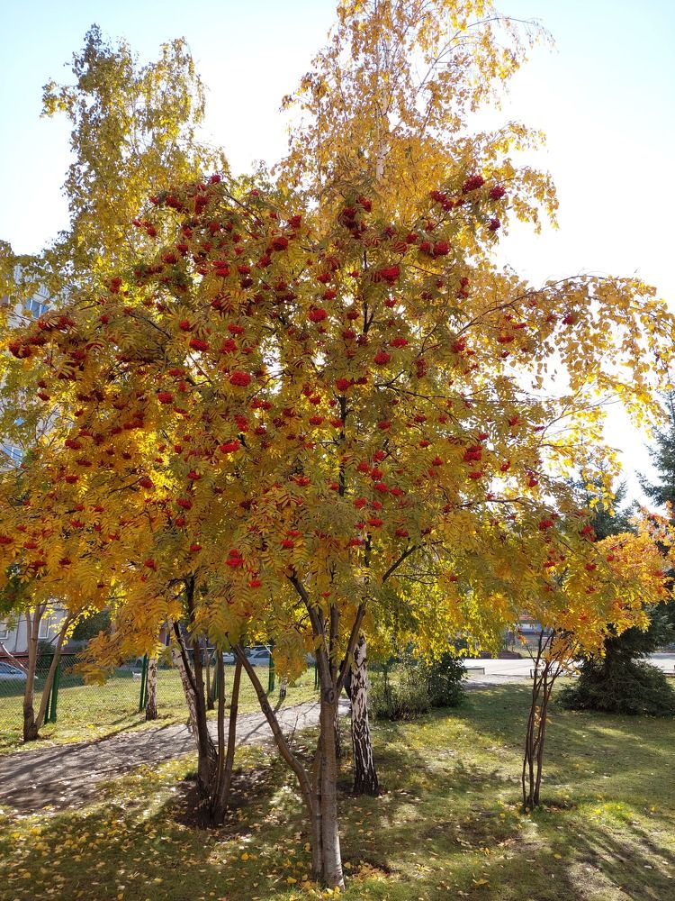 Photograph by Андрей Юденков