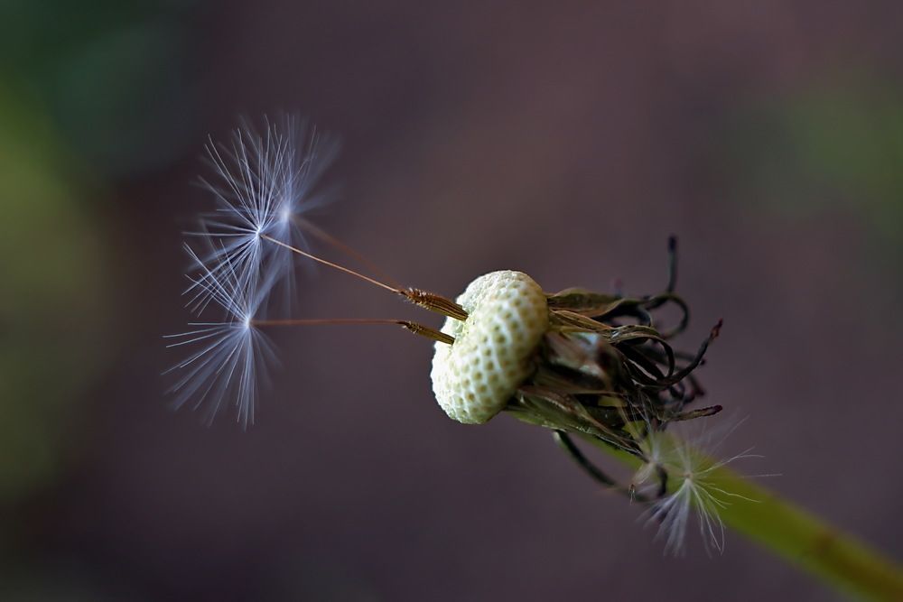 Photograph by Анатолий Святой