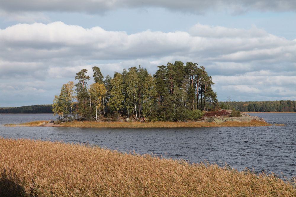 Photograph by Владимир Спиридонов