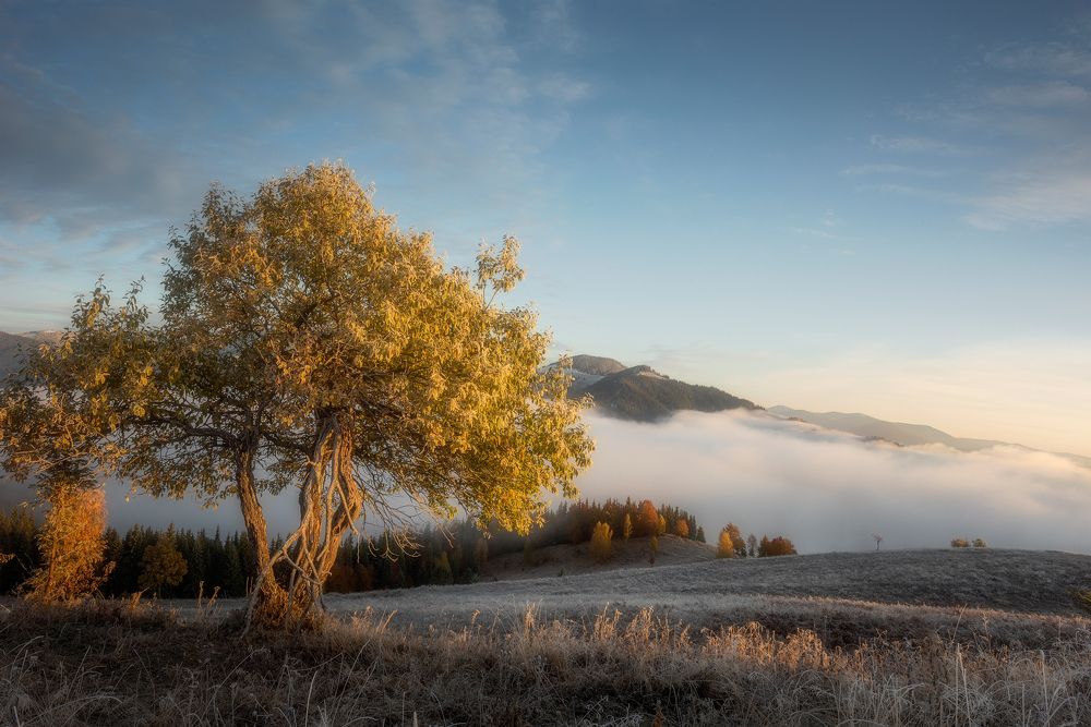 Фотография автора Андрей Жила