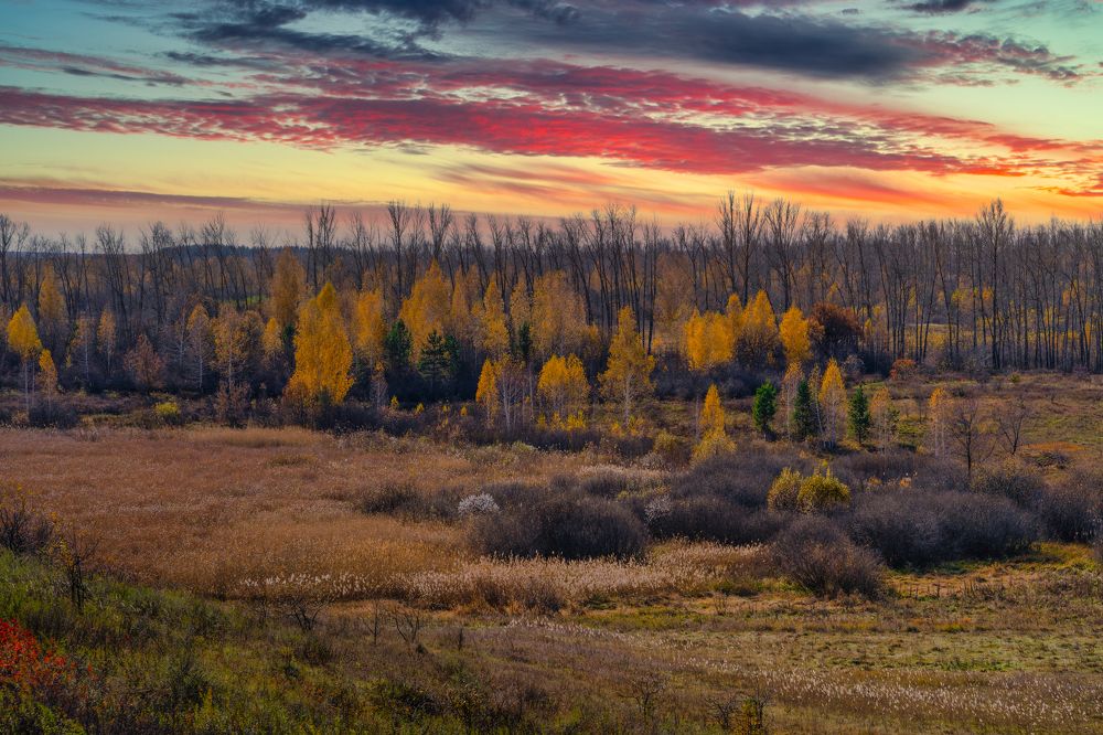 Осеннее настроение