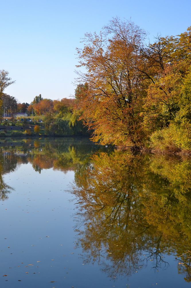 Photograph by Галя Кочубей