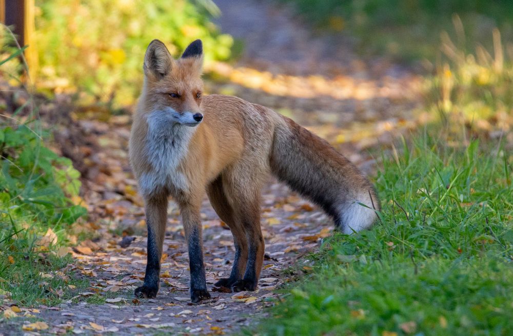 Photograph by Екатерина