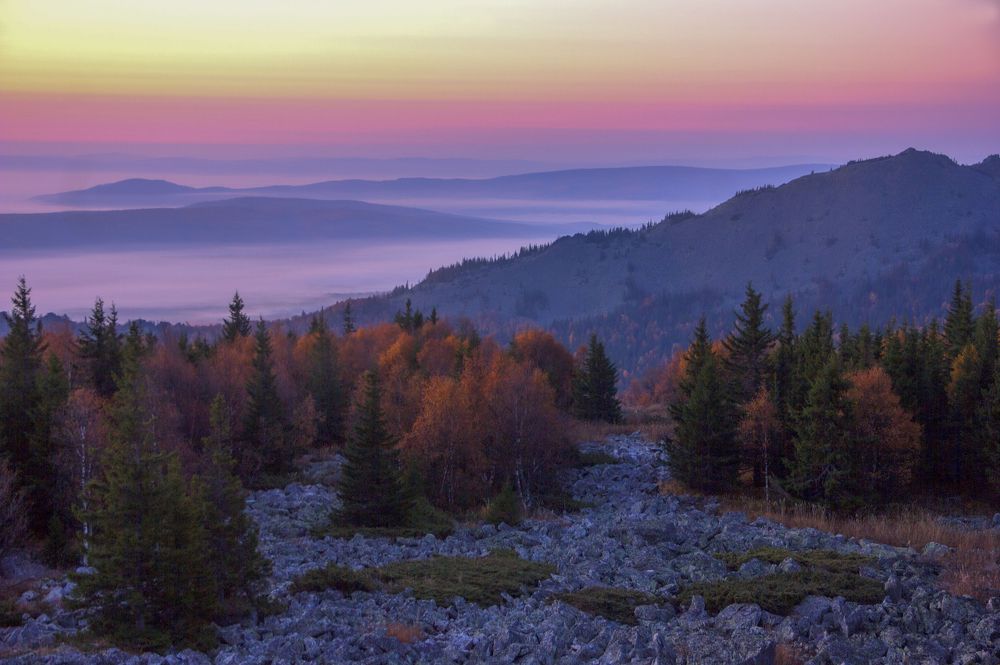 Photograph by Елена Перминова