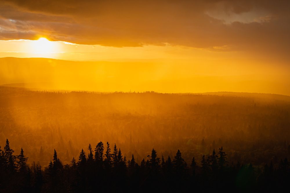 Закатный дождь