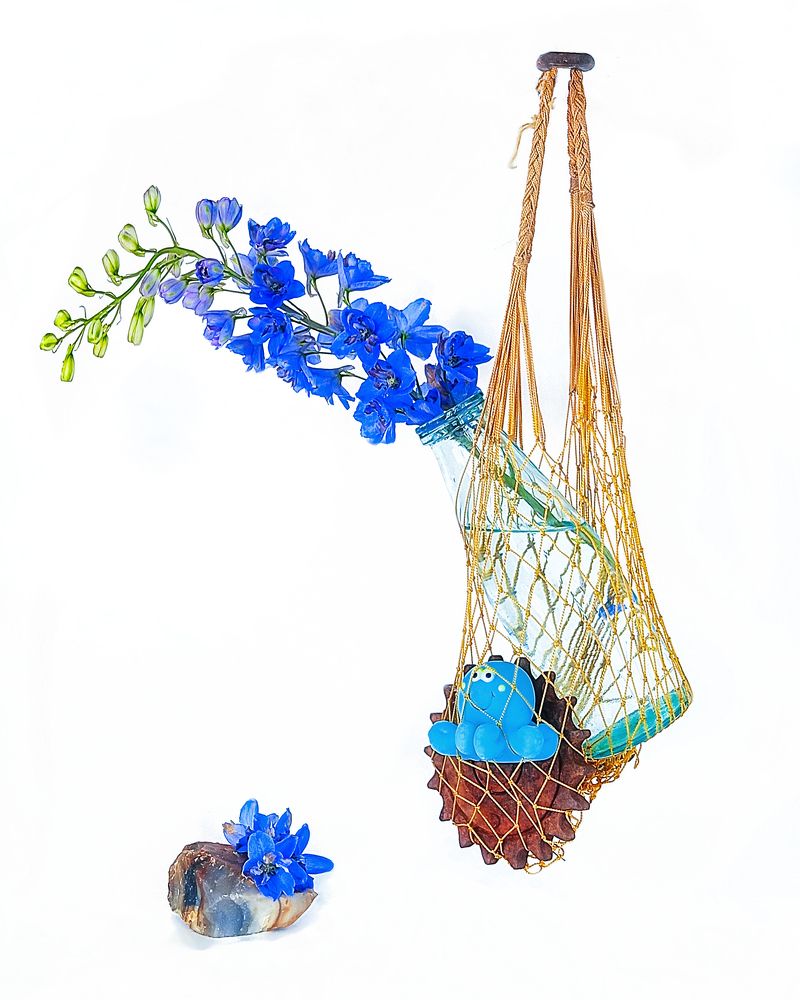 Photograph by Margarita