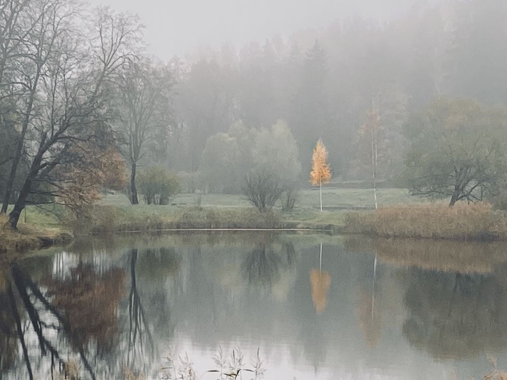 Photograph by Ива