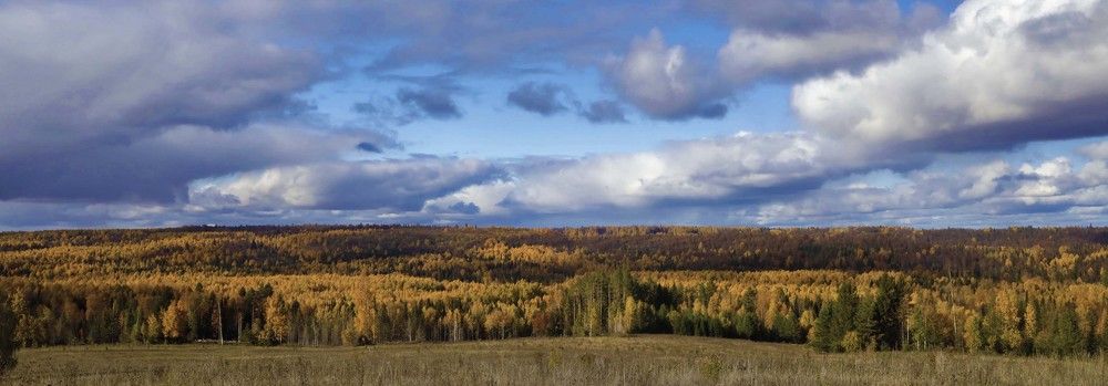 Фотография автора Павел Мартюшев