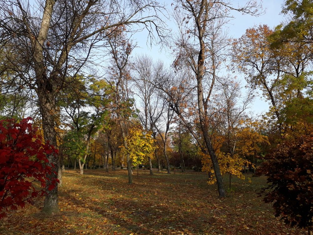 Студенческий парк ДГТУ в Ростове-на-Дону