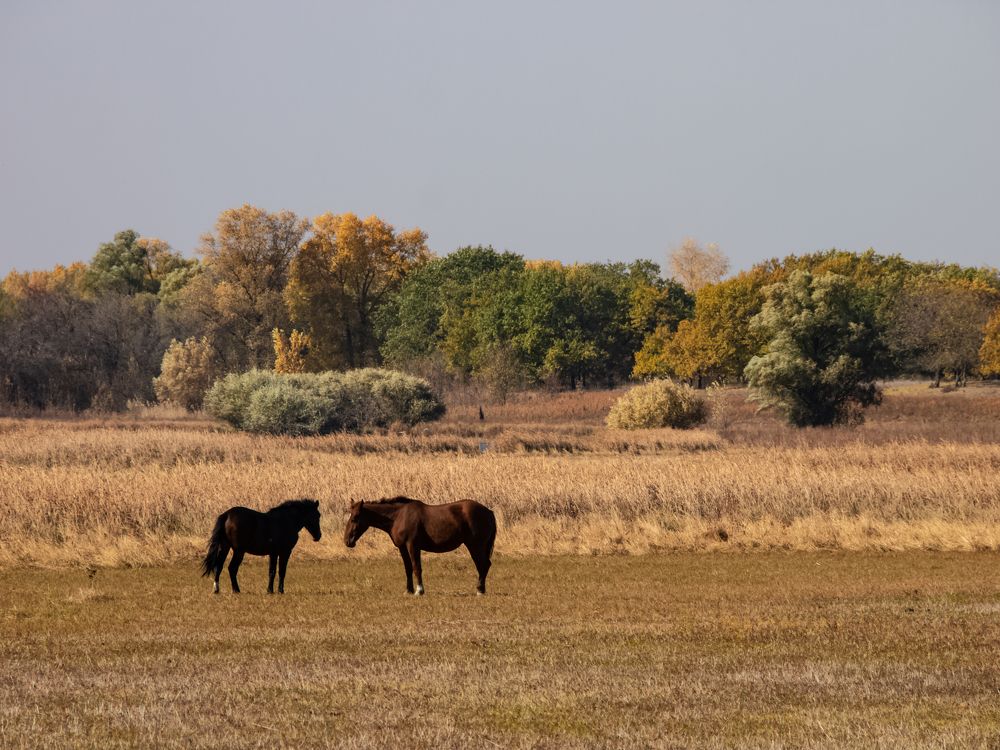 Photograph by Vladimir Rybalko