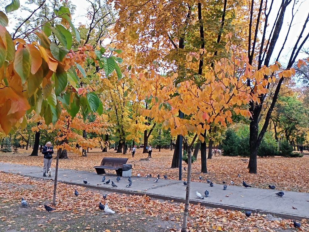 Photograph by Анна Лагун