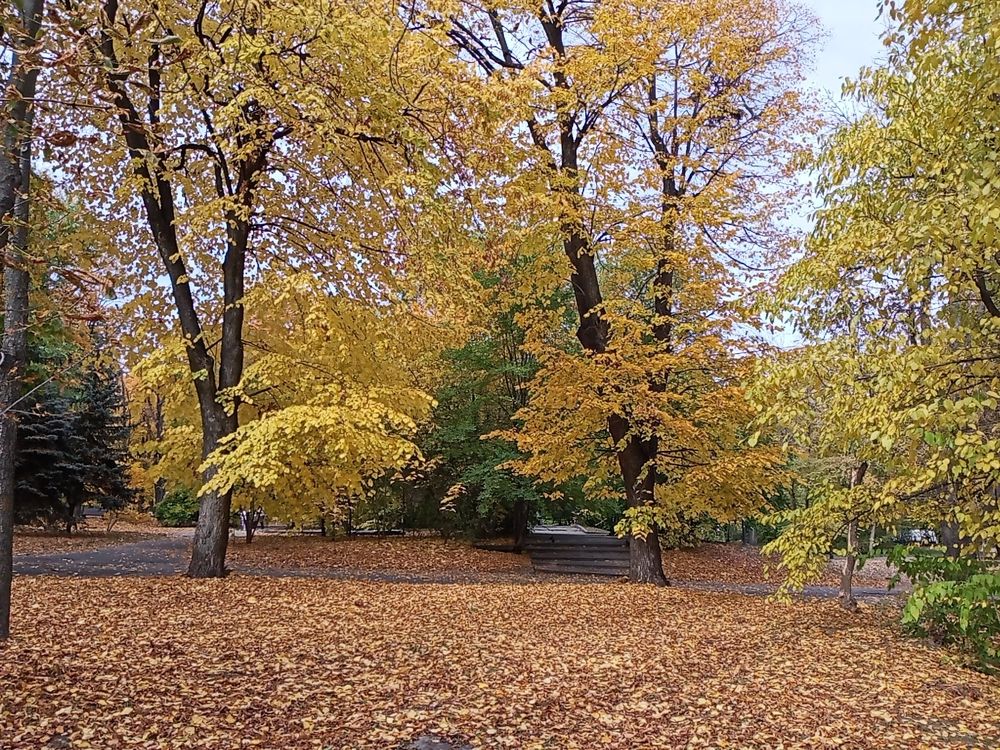 Photograph by Анна Лагун