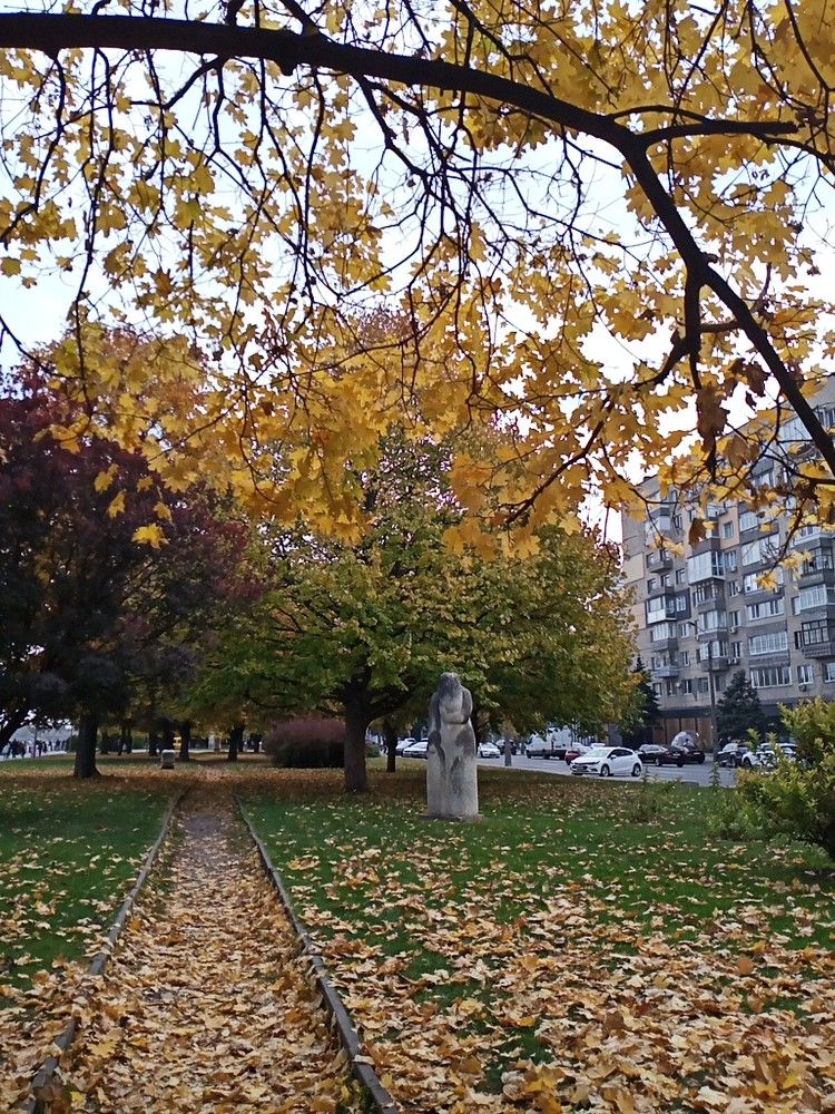 Photograph by Адамян Анна