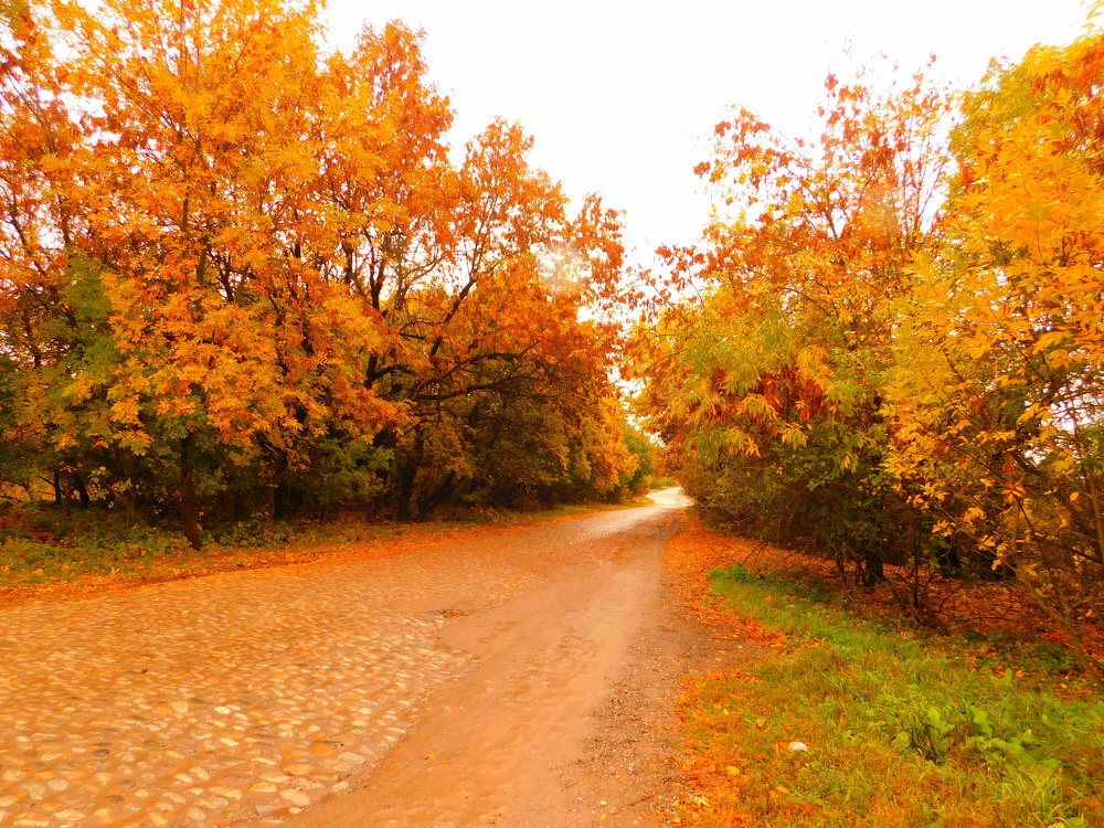 Photograph by Александр Макаров