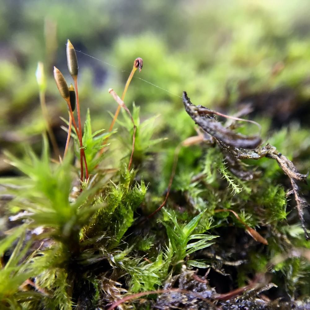 Photograph by Tatyana