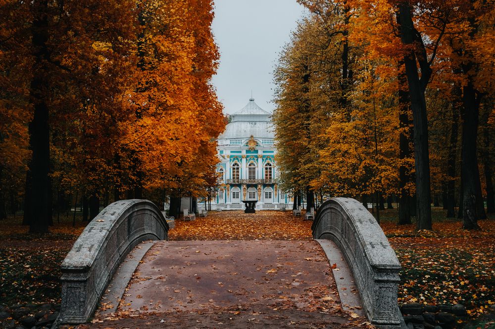 Фотография автора Майя Афзаал