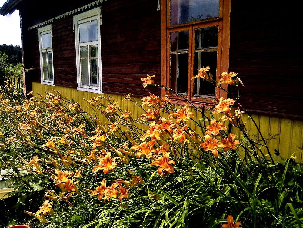 Photograph by TERESA Yurkevich