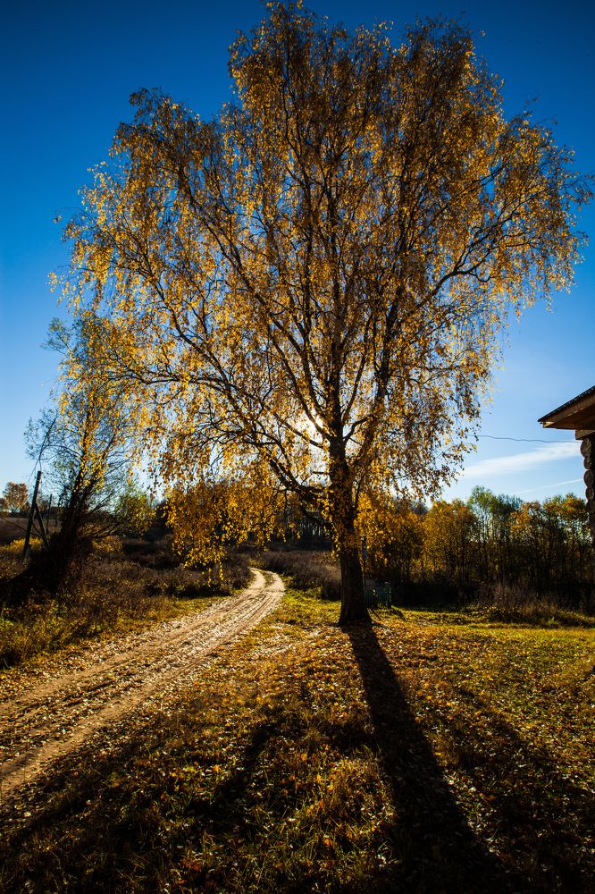 Photograph by Алексей Галкин