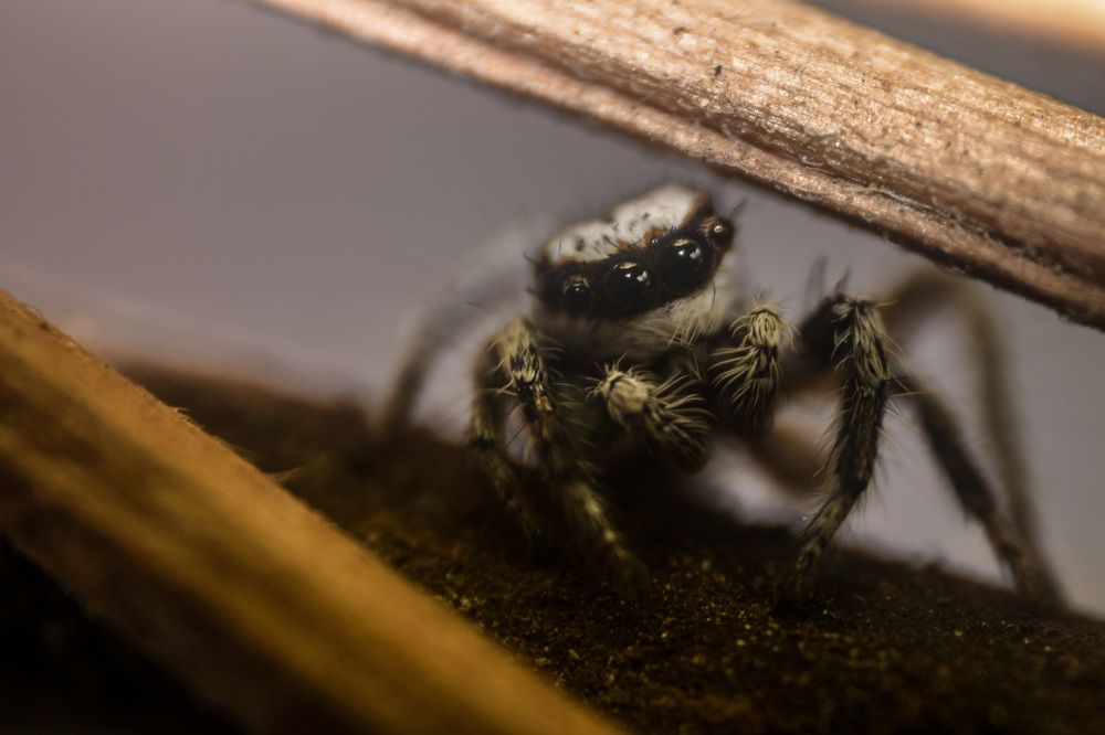 Photograph by Morteza Ghanbari